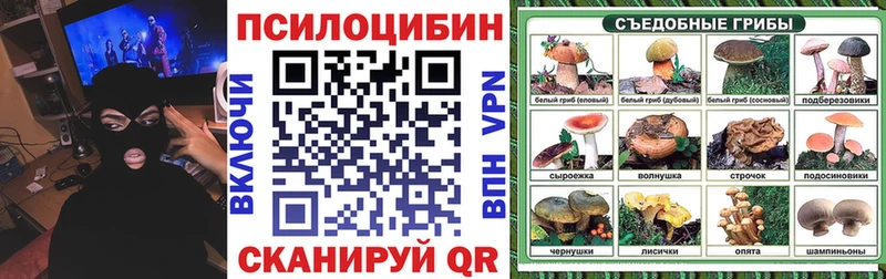 Псилоцибиновые грибы мицелий  даркнет сайт  Староминская 